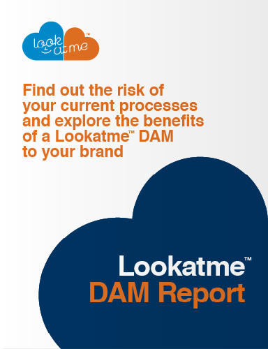 Personalised-DAM-ROI-report-example